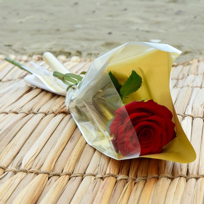 Rosa em Flores - Rosas colombianas de R$0,00 até R$50,00 – buongiorno